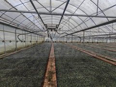 轨喷淋设备沿滑轨平稳运转