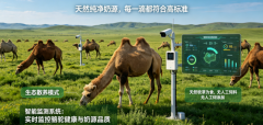 <b>制定合理的盈利预</b>